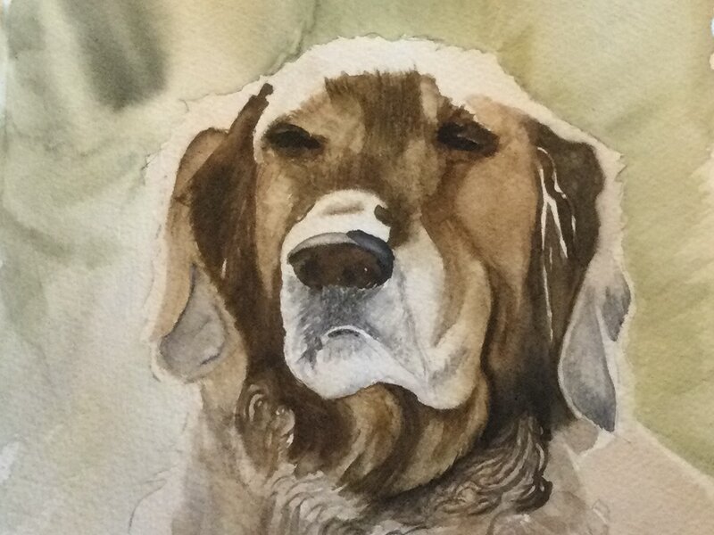 Hound Dog 