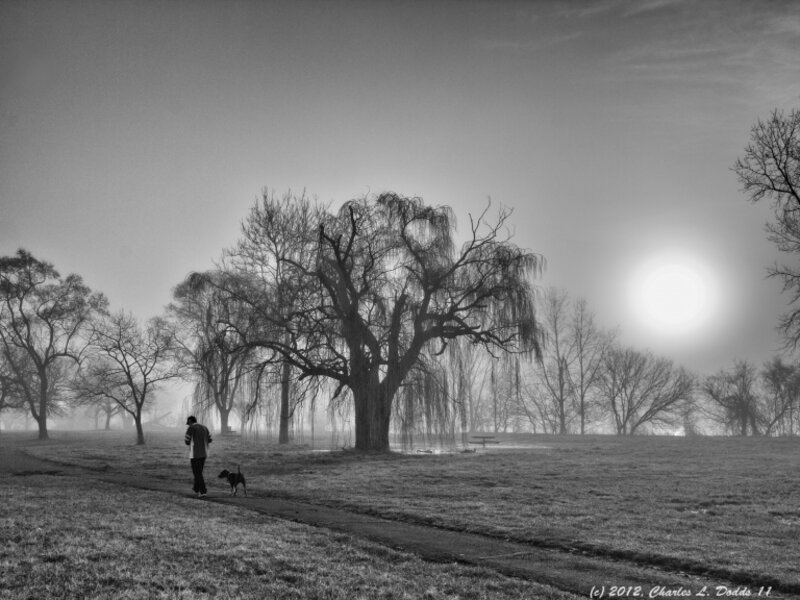 Out walking the dog