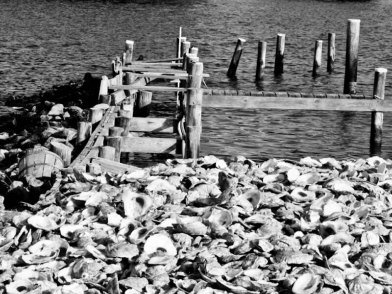 Oyster Dock