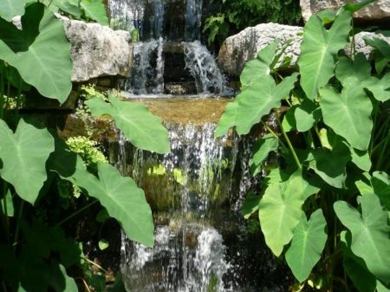 Waterfall - Fort Worth Botanical Garden