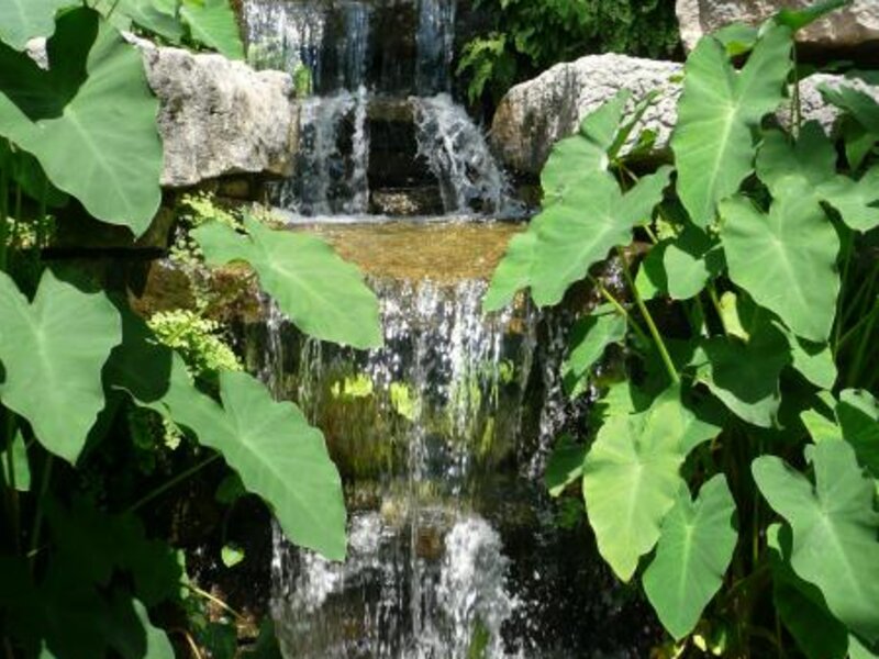 Waterfall - Fort Worth Botanical Garden