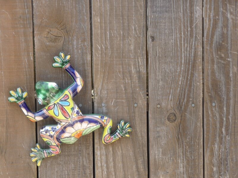 Froggy Fence