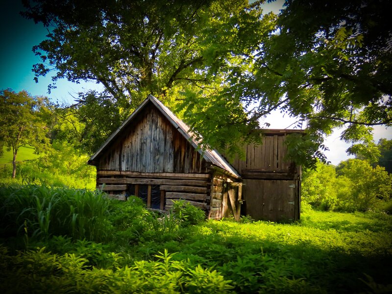 An old barn sits road side in Cosby, Tennessee surrounded by over grown brush and grass 