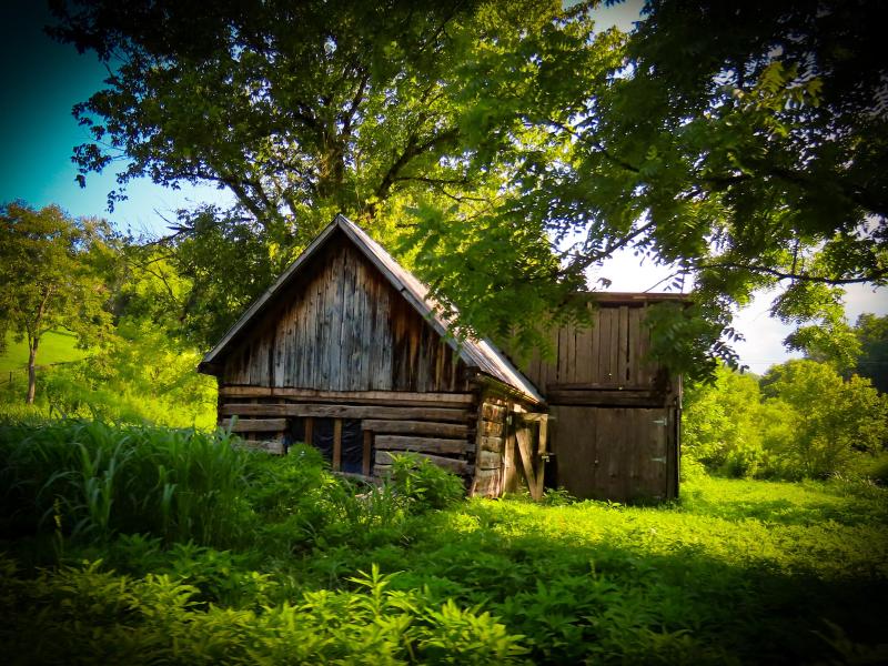 An old barn sits road side in Cosby, Tennessee surrounded by over grown brush and grass 