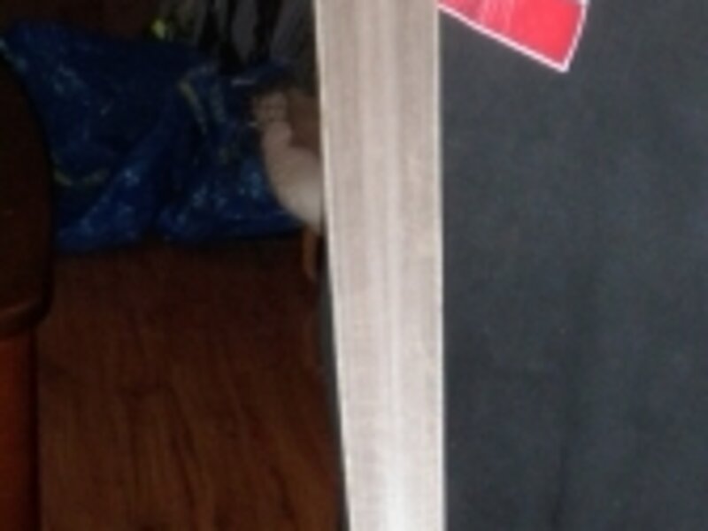 Pahoa A'u Ku - Swordfish bill dagger