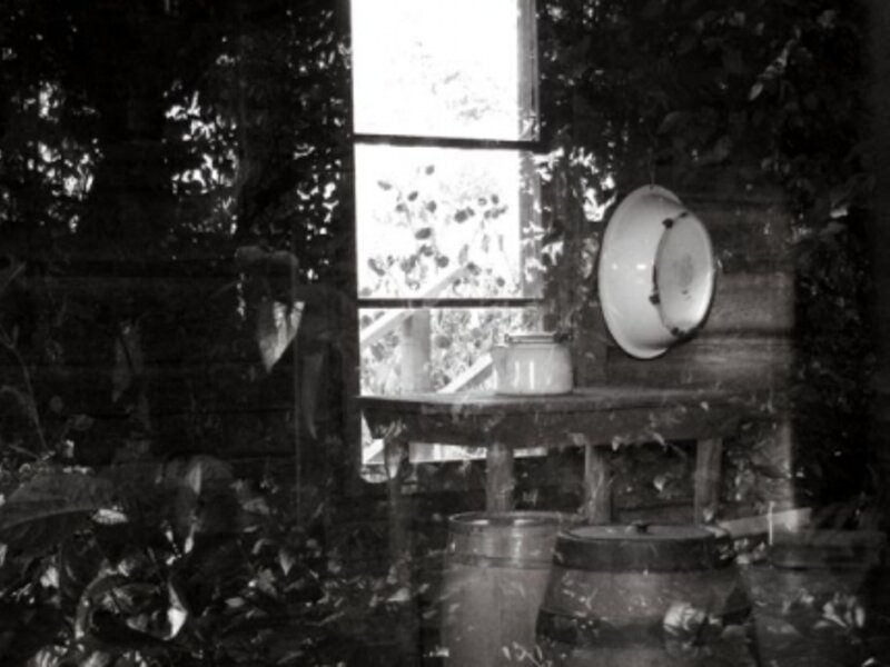 Peeking In