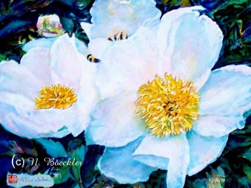 Peonies at Casa Loma
