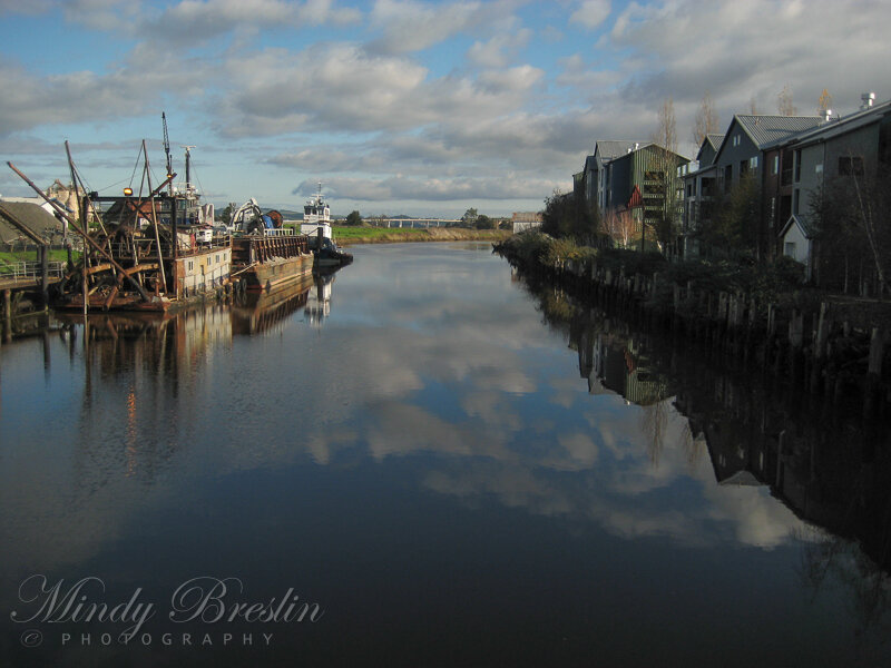 Petaluma River Reflections
