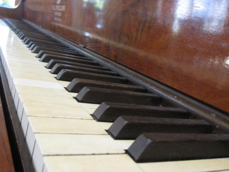The keys.