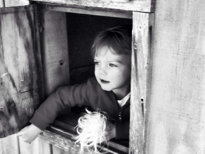 VIEW OF INNOCENCE