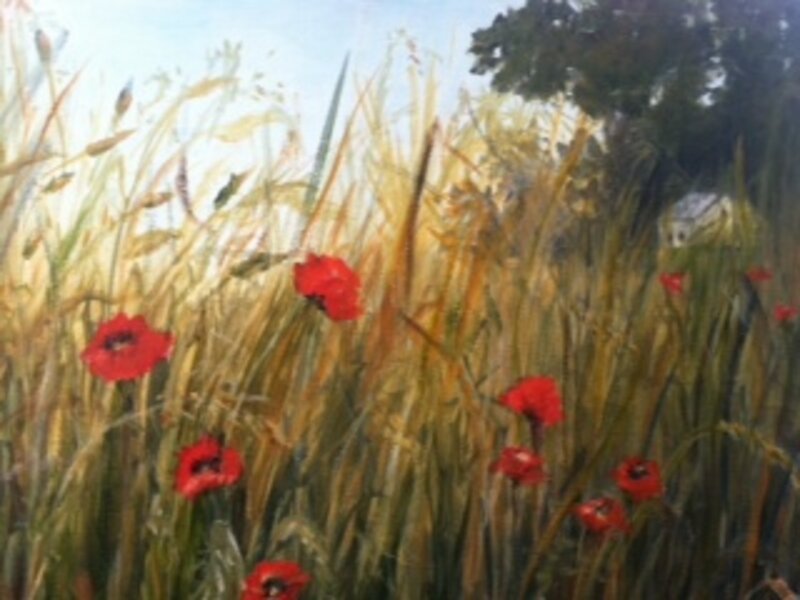 Tuscany Field of Poppies
