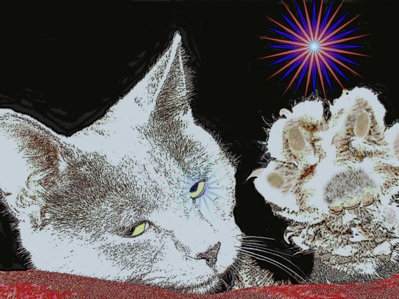 PurrrlStar