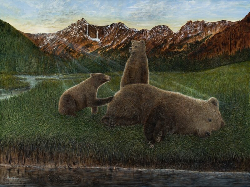 Grizzlies, Cubs, Bears 