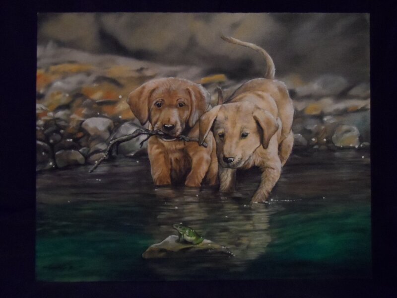 Playful Pups