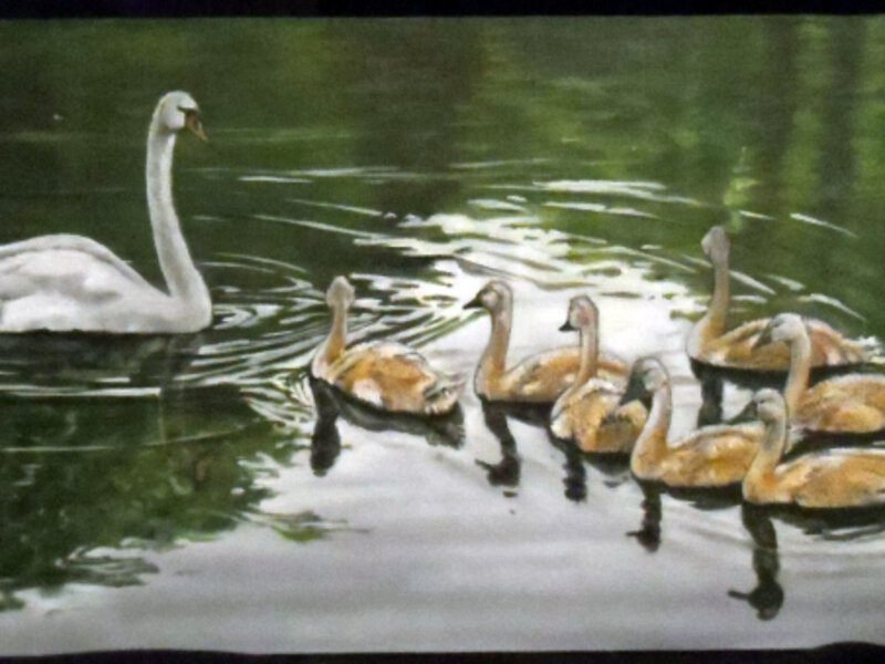 Graceful Family