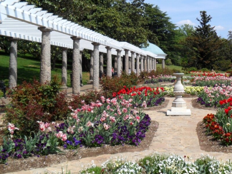 Beautiful garden
