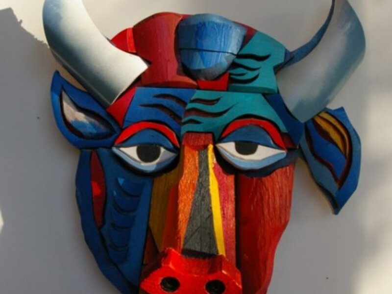 toro bravo