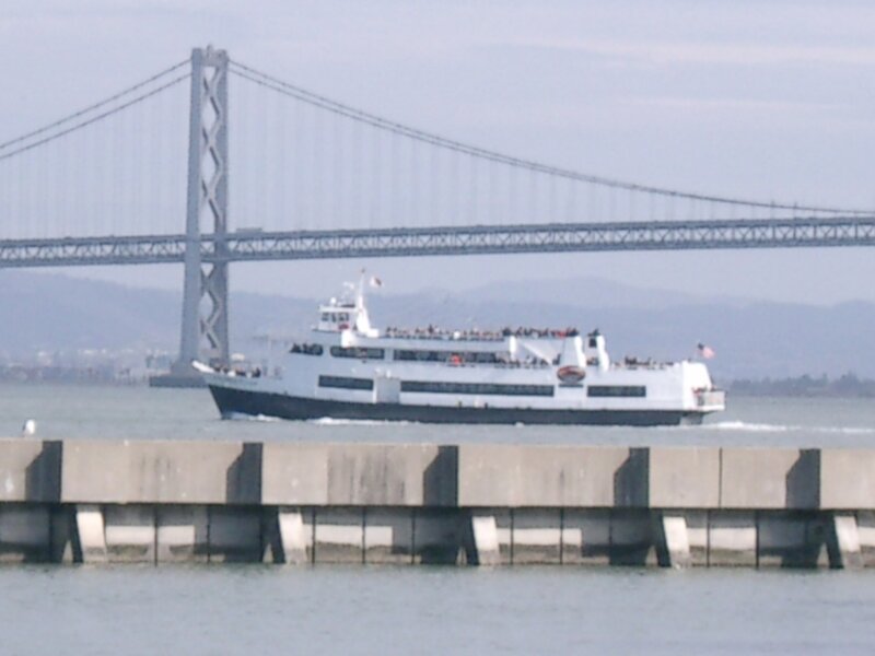 THE BAY