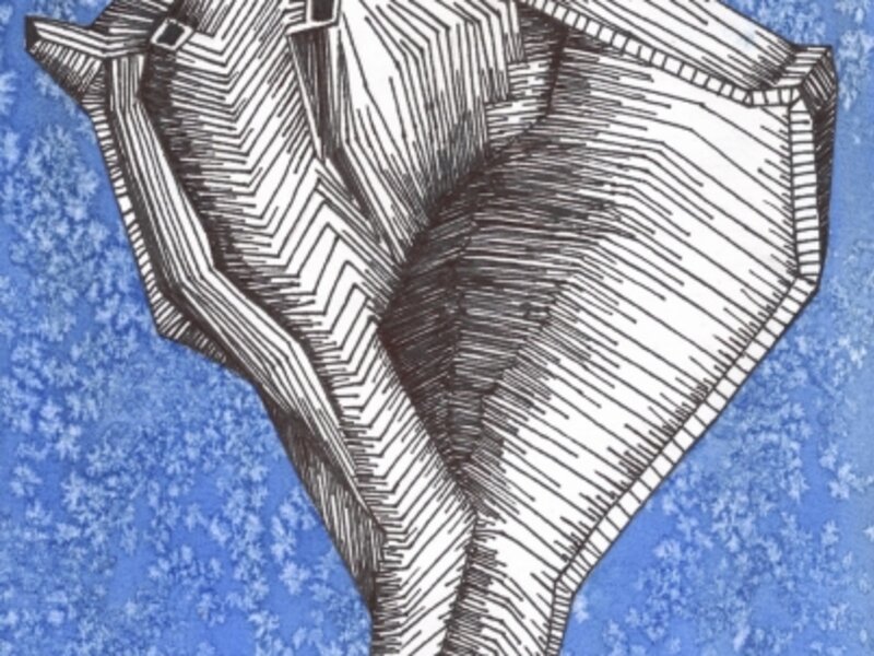 Seashell