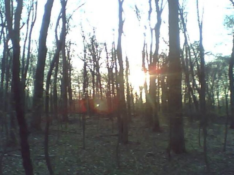 Shine on Through