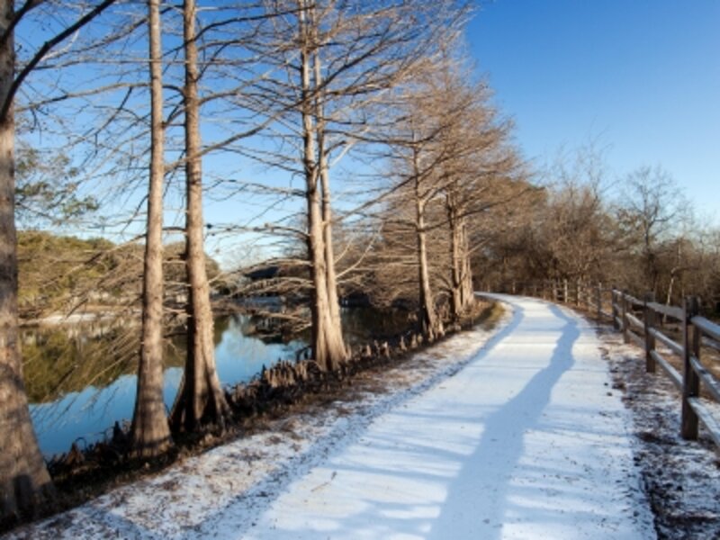 San Antonio Snow