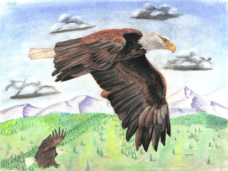 Soaring with Eagles