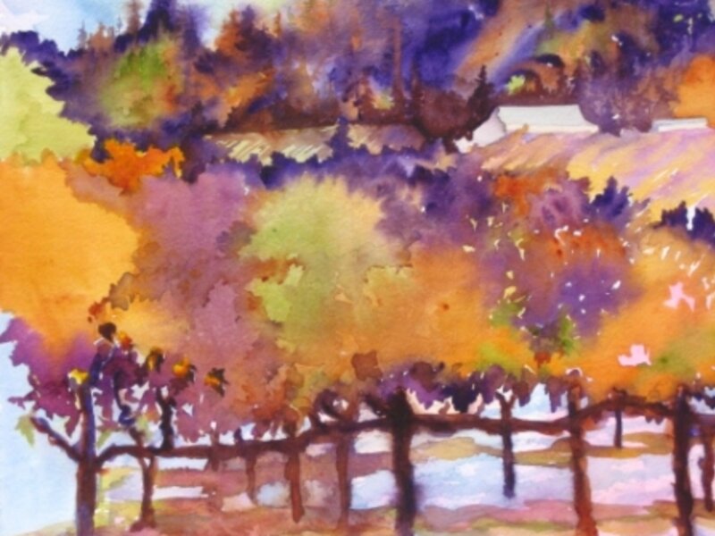Sonoma County Vineyard III