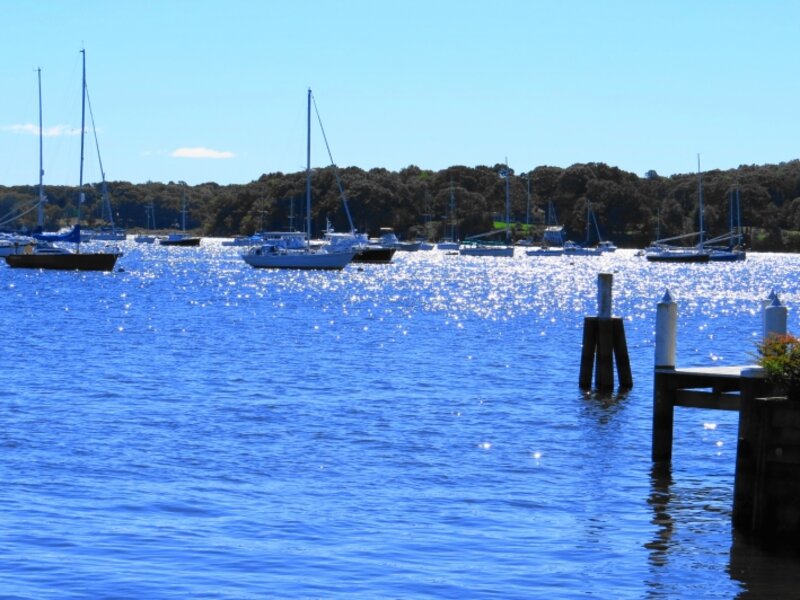Sparkling Harbor