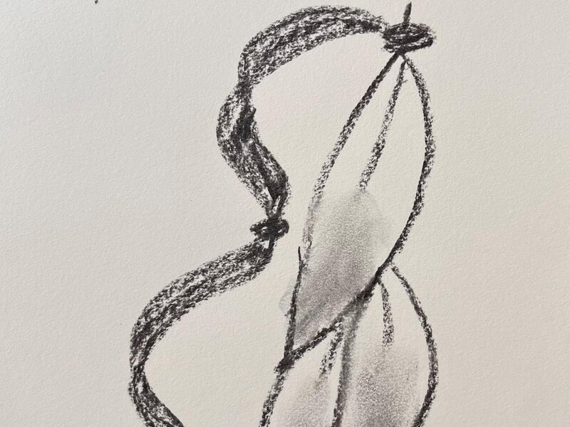 charcoal drawing of feathers 