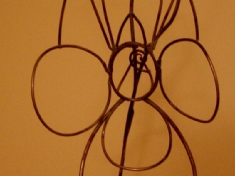 Orchid