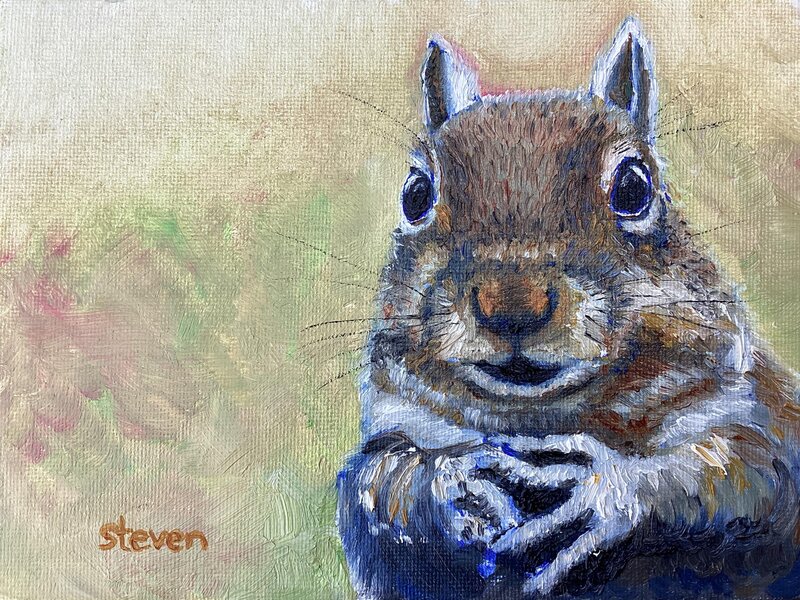 Squirrel