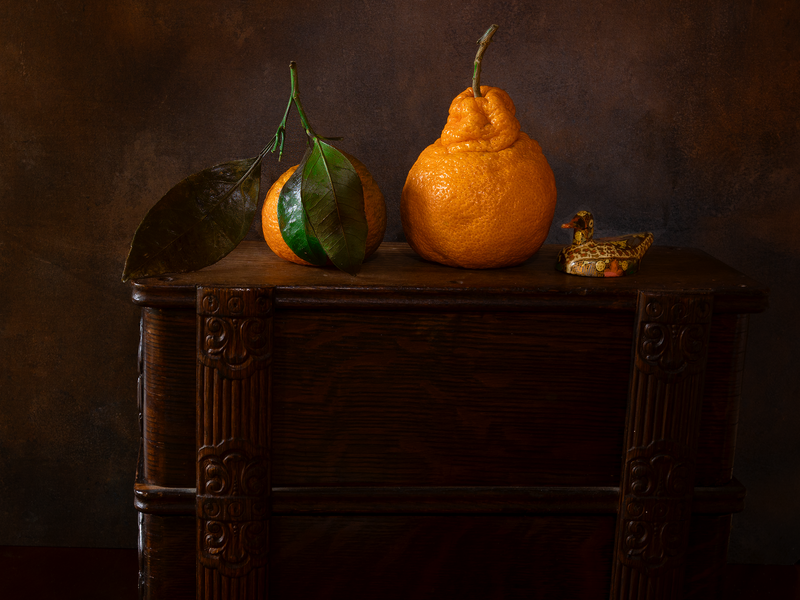 Still life image showing 2 mandarin oranges and a papier mache duck on top of a piece of furniture.