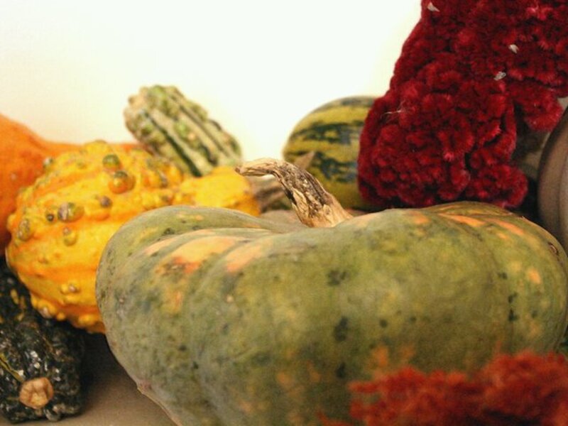 Still Life