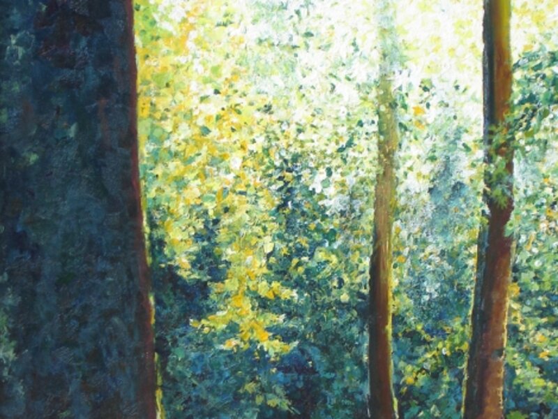Sunlight Enters