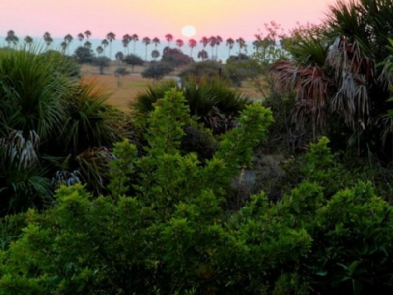 Sunrise