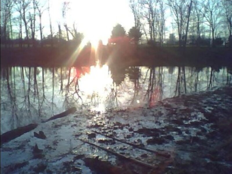 Reflections of Light