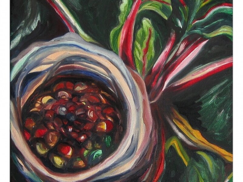 Swiss Chard and Birds Nest
