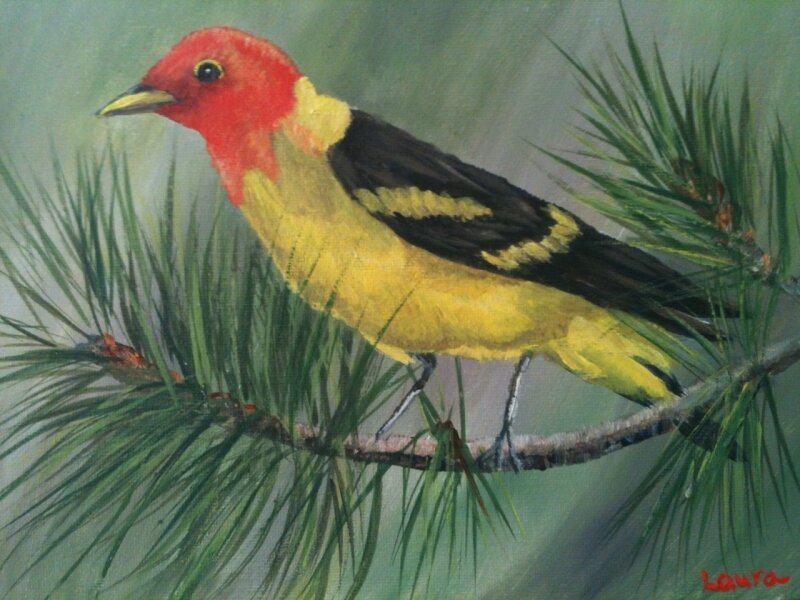 Treetop Tanager