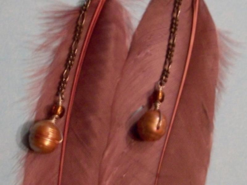 Brown Feather earrings