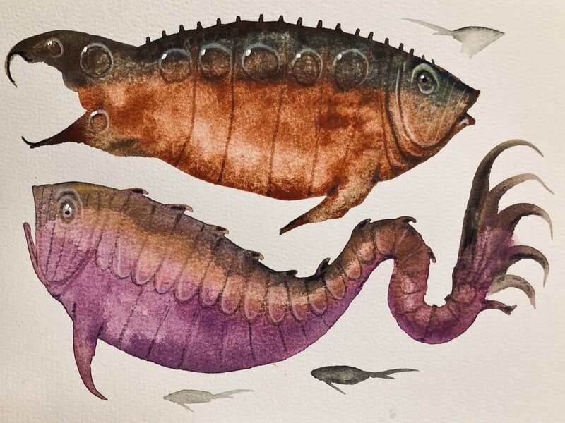 Gouache washes and colored pencils, July, 2024