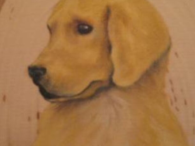 "Yellow Dog"