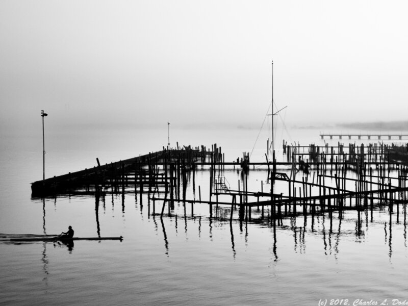 the Docks
