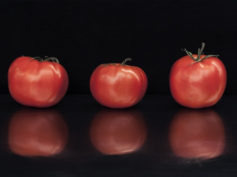 gallery-wrapped, archival, giclee photographs printed on canvas