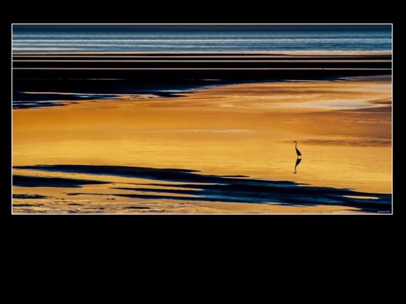 Tidal flats at Orleans, Cape Cod