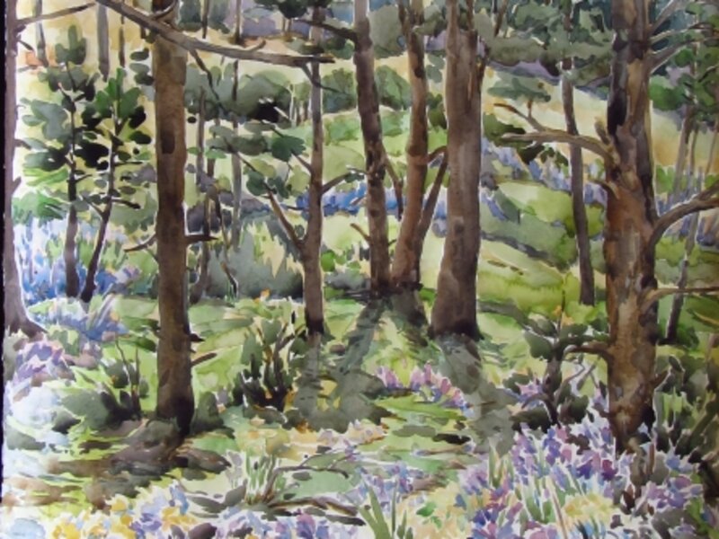 Kristen Muench Watercolor Bluebells near the Fairy Stump