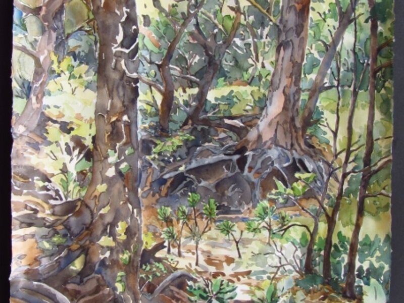 Kristen Muench "Root Place" 30x22 watercolor Pinery, CO 