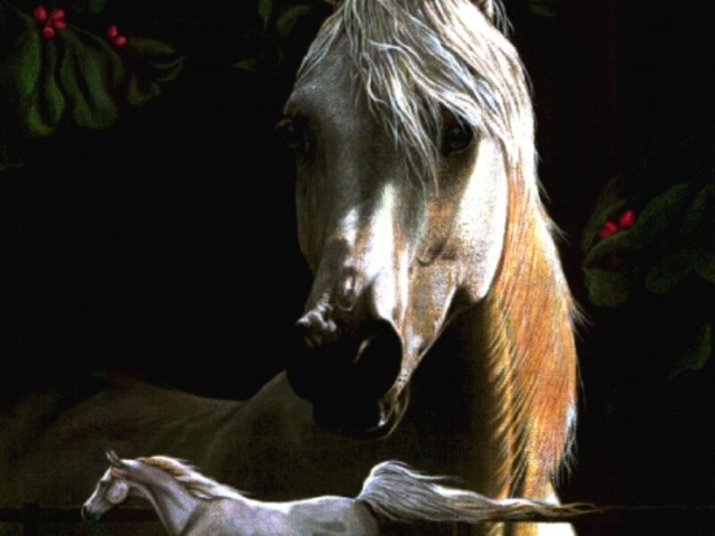 White Horse