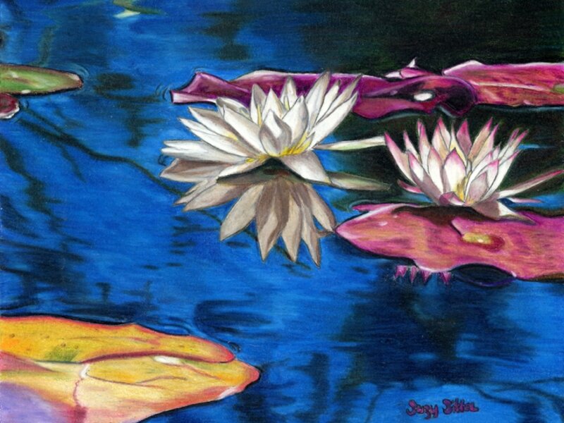 Water Lilies