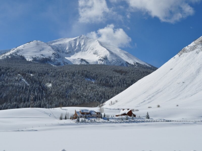Winter Solitude