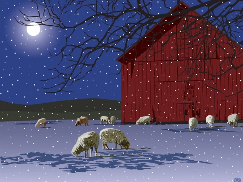 Winter Sheep